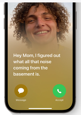 Voicemail Transcript Voicemail Transcript